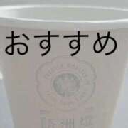 ヒメ日記 2026/02/17 07:42 投稿 工藤ともみ セレブ Rex