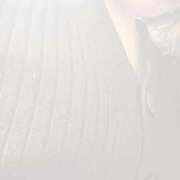 ヒメ日記 2026/02/20 09:52 投稿 工藤ともみ セレブ Rex