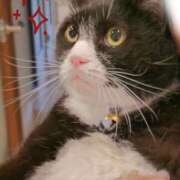 こはる 出勤予定更新✨ プロフィール天王寺