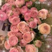 しょうこ ごめんなさい🙇‍♀️ 待ちナビ