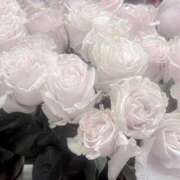 ヒメ日記 2026/02/13 15:11 投稿 ゆい 池袋ぱんぷきん（シンデレラグループ）