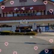 ヒメ日記 2026/01/23 08:39 投稿 さえ 千葉柏ちゃんこ