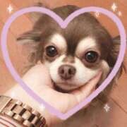 ヒメ日記 2026/01/26 15:08 投稿 さえ 千葉柏ちゃんこ