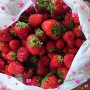 ヒメ日記 2026/01/29 10:46 投稿 さえ 千葉柏ちゃんこ