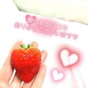 ヒメ日記 2026/03/12 16:26 投稿 秋保 昼顔妻 五反田店