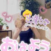 ヒメ日記 2026/03/13 10:06 投稿 秋保 昼顔妻 五反田店