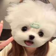 ヒメ日記 2025/12/28 19:56 投稿 このみ★経験浅めな純真JD★ 渋谷S級素人清楚系デリヘル chloe