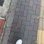 ヒメ日記 2026/01/13 16:05 投稿 このみ★経験浅めな純真JD★ S級素人清楚系デリヘル chloe