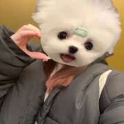 ヒメ日記 2025/12/26 19:28 投稿 このみ★経験浅めな純真JD★ Chloe五反田本店　S級素人清楚系デリヘル