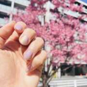 ヒメ日記 2026/03/07 15:25 投稿 ここ 品川ミセスアロマ（ユメオト）