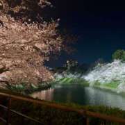 ヒメ日記 2026/04/04 18:19 投稿 ここ 品川ミセスアロマ（ユメオト）