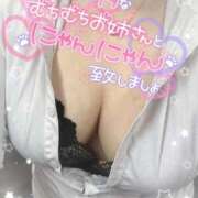 ヒメ日記 2026/04/09 10:42 投稿 ここ 大塚デリヘル倶楽部