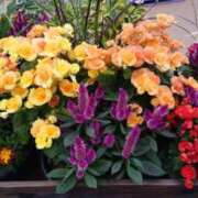 つばめ はじめまして。つばめです。 熟女総本店 堺東店