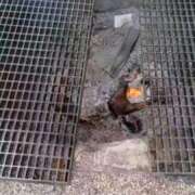 ヒメ日記 2026/01/05 16:30 投稿 華子(かこ) エッチな熟女(広島)