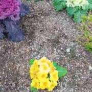 ヒメ日記 2026/02/15 12:45 投稿 華子(かこ) エッチな熟女(広島)