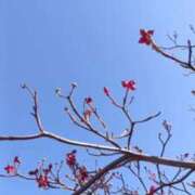 ヒメ日記 2026/02/19 16:50 投稿 華子(かこ) エッチな熟女(広島)