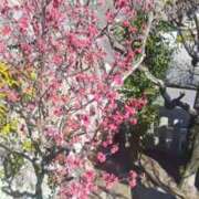 ヒメ日記 2026/02/20 12:22 投稿 華子(かこ) エッチな熟女(広島)