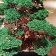 ヒメ日記 2026/03/09 12:10 投稿 華子(かこ) エッチな熟女(広島)