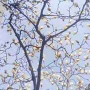 ヒメ日記 2026/03/12 17:41 投稿 華子(かこ) エッチな熟女(広島)