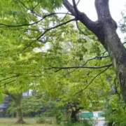 ヒメ日記 2026/05/03 17:50 投稿 華子(かこ) エッチな熟女(広島)