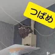 ヒメ日記 2026/05/15 12:20 投稿 華子(かこ) エッチな熟女(広島)