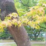 ヒメ日記 2026/06/05 15:20 投稿 華子(かこ) エッチな熟女(広島)