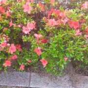 ヒメ日記 2026/06/18 18:01 投稿 華子(かこ) エッチな熟女(広島)