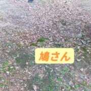 ヒメ日記 2026/06/20 04:00 投稿 華子(かこ) エッチな熟女(広島)