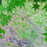 ヒメ日記 2026/06/20 21:36 投稿 華子(かこ) エッチな熟女(広島)