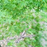 ヒメ日記 2026/07/08 15:20 投稿 華子(かこ) エッチな熟女(広島)