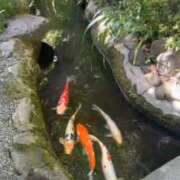 ヒメ日記 2026/08/07 12:22 投稿 華子(かこ) エッチな熟女(広島)