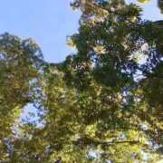ヒメ日記 2026/10/08 20:01 投稿 華子(かこ) エッチな熟女(広島)
