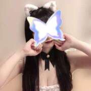 ヒメ日記 2026/02/01 12:04 投稿 結城　あゆ 響-HIBIKI-