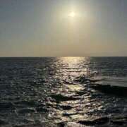 ヒメ日記 2026/03/01 20:56 投稿 れお 深海魚