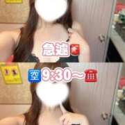 ヒメ日記 2026/09/15 08:36 投稿 アリス 道玄坂クリスタル