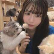 ヒメ日記 2026/07/13 18:13 投稿 かれん ニューハーフヘルスSURPRISE ONE日本橋店