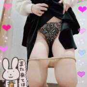 ヒメ日記 2026/02/07 00:06 投稿 舞川せいら ミセス大阪十三店