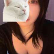 ヒメ日記 2025/12/30 17:30 投稿 もみじ 新宿ハンドメイド