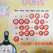 Shizuka Kitagawa 三月のシフトです。 ELEGANT－エレガント－