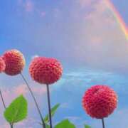 ヒメ日記 2025/12/31 13:43 投稿 冴理奈 OL物語