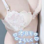 ヒメ日記 2026/02/05 12:18 投稿 みなみ 夢幻（むげん）