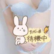 ヒメ日記 2026/02/13 17:19 投稿 みなみ 夢幻（むげん）