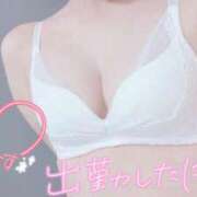 ヒメ日記 2026/03/02 12:57 投稿 みなみ 夢幻（むげん）