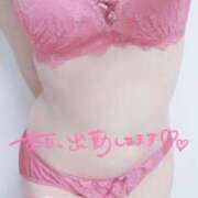 ヒメ日記 2026/03/07 11:48 投稿 みなみ 夢幻（むげん）