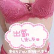 ヒメ日記 2026/03/08 12:28 投稿 みなみ 夢幻（むげん）