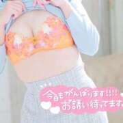 ヒメ日記 2026/09/19 10:50 投稿 みなみ 夢幻（むげん）