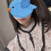 ヒメ日記 2026/02/03 17:37 投稿 さゆ ハピネス東京 吉原店