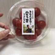 ヒメ日記 2026/05/14 20:48 投稿 茅羽（ちは） PLUS十三店