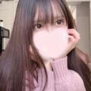 ヒメ日記 2025/12/23 12:04 投稿 さくや 桃李（とうり）