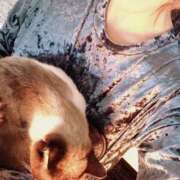 ヒメ日記 2026/02/01 23:16 投稿 ミチ 南大阪回春性感エステオールスターズ